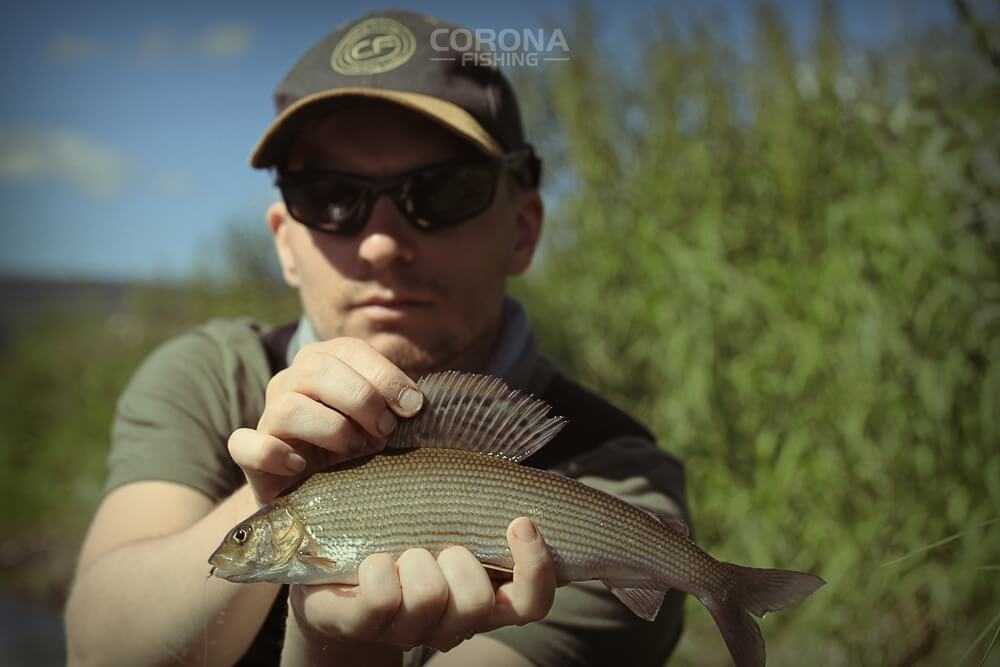 wędkarstwo skandynawia